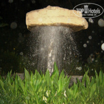 фото из отзыва ID 839364