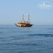 фото из отзыва ID 839364