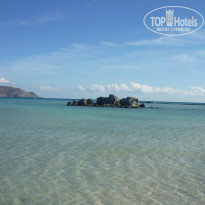 фото из отзыва ID 839439