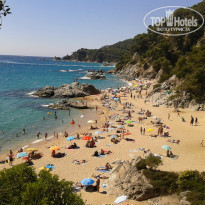 фото из отзыва ID 839726