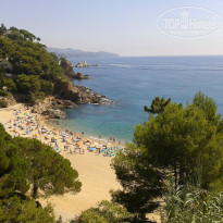 фото из отзыва ID 839726