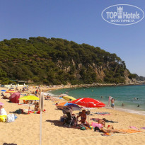 фото из отзыва ID 839726