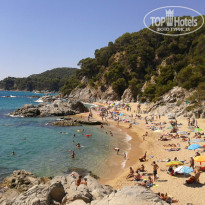 фото из отзыва ID 839726