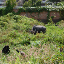 фото из отзыва ID 839882