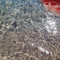 фото из отзыва ID 840066