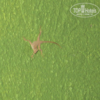 фото из отзыва ID 840169