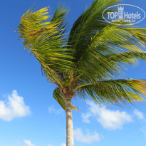 фото из отзыва ID 840169