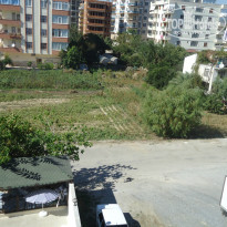 фото из отзыва ID 840175