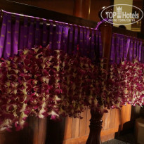 фото из отзыва ID 840515