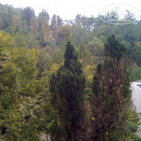 фото из отзыва ID 840550