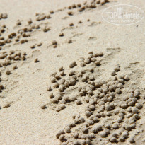 фото из отзыва ID 840982