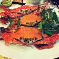 фото из отзыва ID 840443