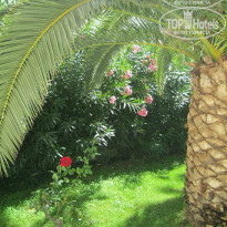 фото из отзыва ID 841043