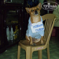 фото из отзыва ID 841116