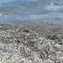 фото из отзыва ID 841213