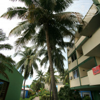 фото из отзыва ID 841238