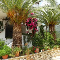 фото из отзыва ID 841280