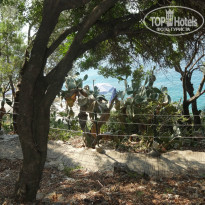 фото из отзыва ID 841280