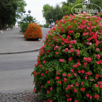 фото из отзыва ID 841305