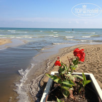 фото из отзыва ID 841305