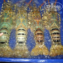 фото из отзыва ID 841423