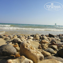 фото из отзыва ID 841438