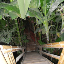 фото из отзыва ID 841774