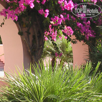 фото из отзыва ID 841808