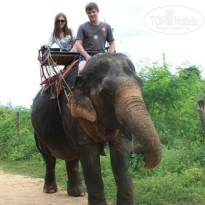 фото из отзыва ID 841881