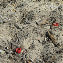 фото из отзыва ID 841883