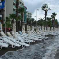 фото из отзыва ID 841925