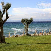 фото из отзыва ID 841996