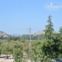 фото из отзыва ID 842109