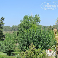 фото из отзыва ID 842109