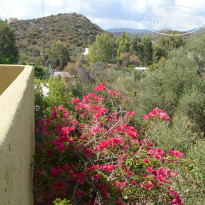 фото из отзыва ID 842156