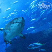 фото из отзыва ID 842263