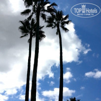 фото из отзыва ID 842333