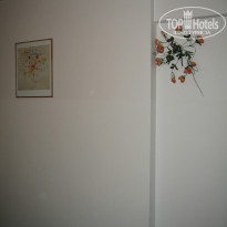 фото из отзыва ID 842339