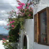 фото из отзыва ID 842543