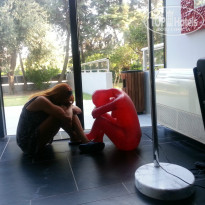 фото из отзыва ID 842635