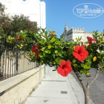 фото из отзыва ID 842635