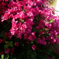 фото из отзыва ID 842666