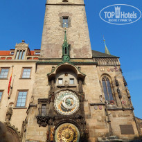 фото из отзыва ID 842961