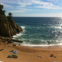 фото из отзыва ID 842845