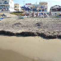 фото из отзыва ID 842599