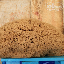 фото из отзыва ID 842100