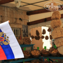 фото из отзыва ID 842100