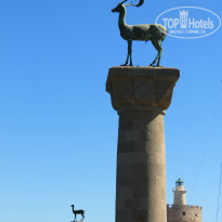 фото из отзыва ID 842100