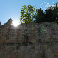 фото из отзыва ID 842100