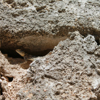 фото из отзыва ID 842100